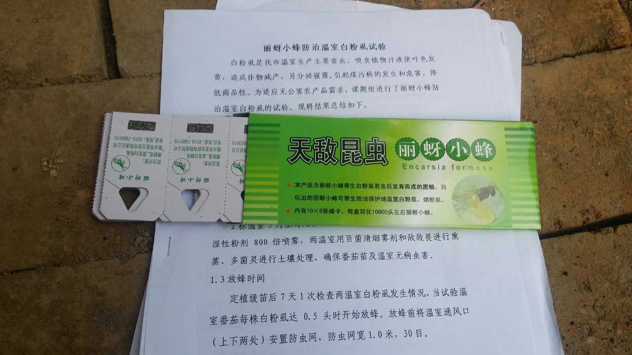 1-150P1094U1338.jpg